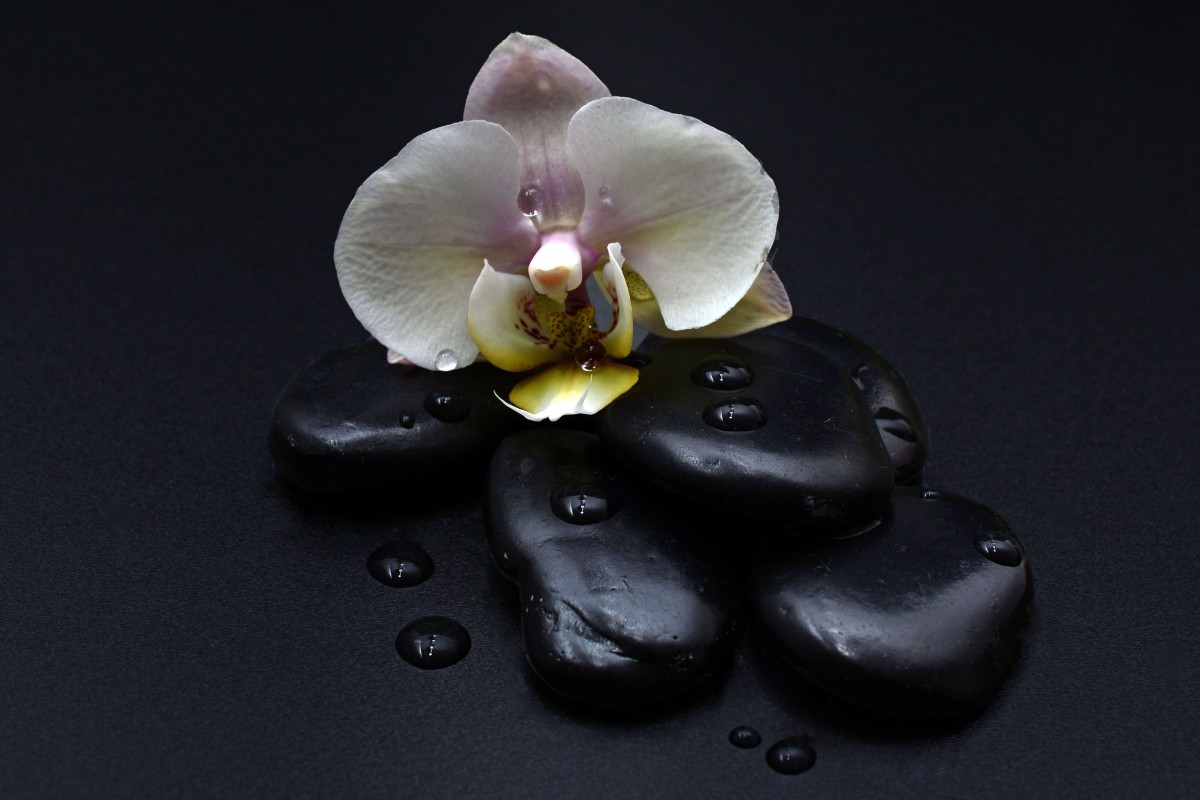 Photo of 4 black stones